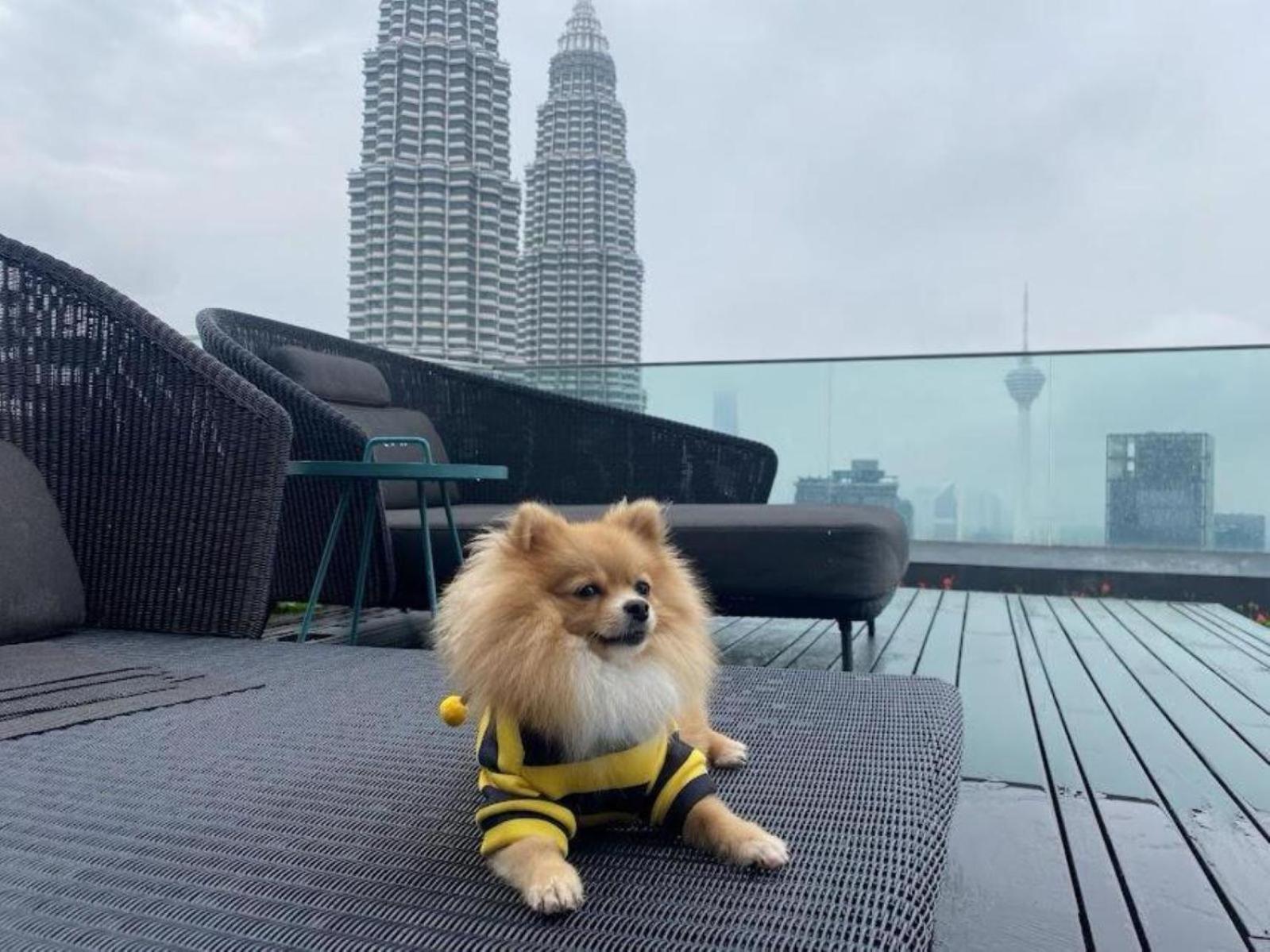 Star Klcc Serviced Pangsapuri